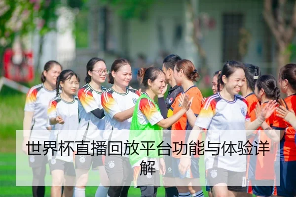 世界杯直播回放平台功能与体验详解