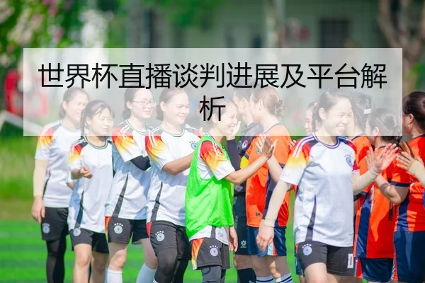 世界杯直播谈判进展及平台解析